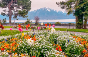 Montreux Apartment